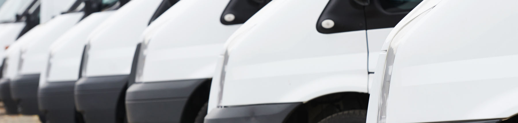 Looking for the perfect Car?
